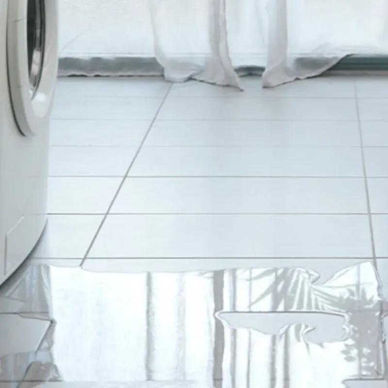 Appliance Leak Cleanup in Lincoln, MA