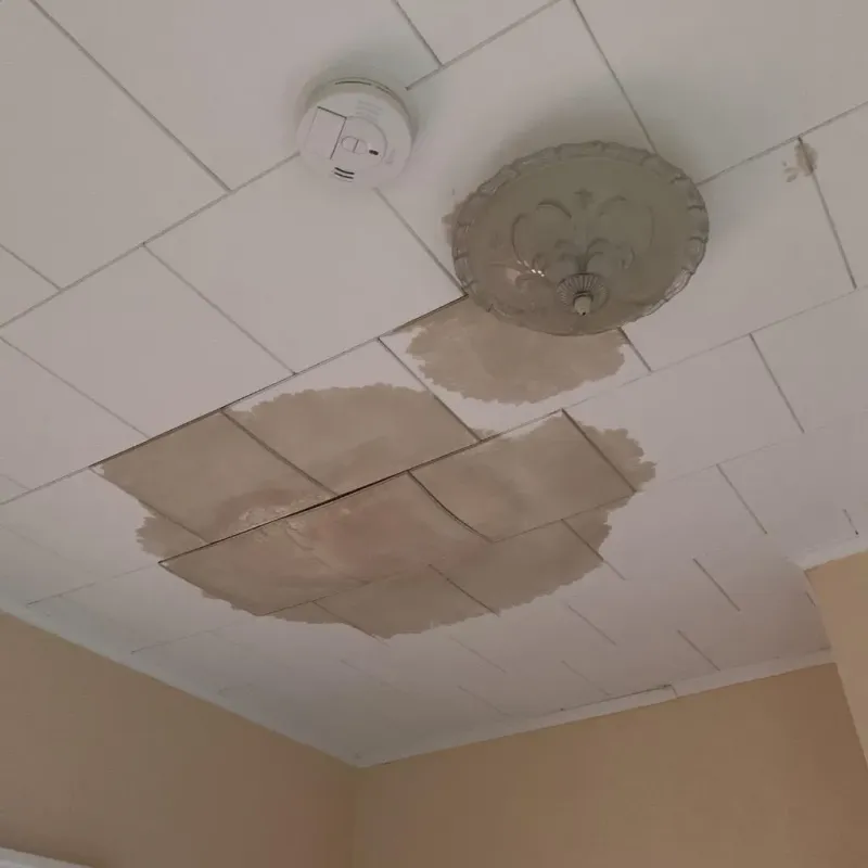 Ceiling Water Damage Repair in Lincoln, MA