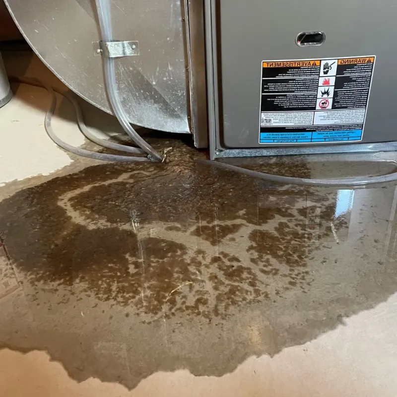 Pipe Burst and Leak Restoration in Lincoln, MA